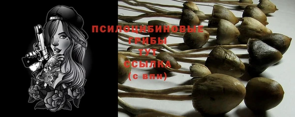 скорость Баксан