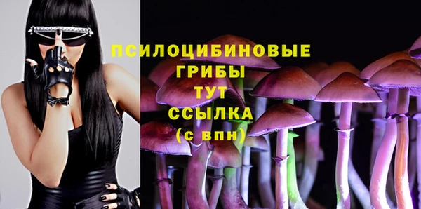 молекула духа Балабаново