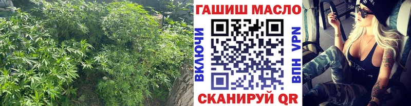 блэк спрут сайт  Суджа  Дистиллят ТГК THC oil 