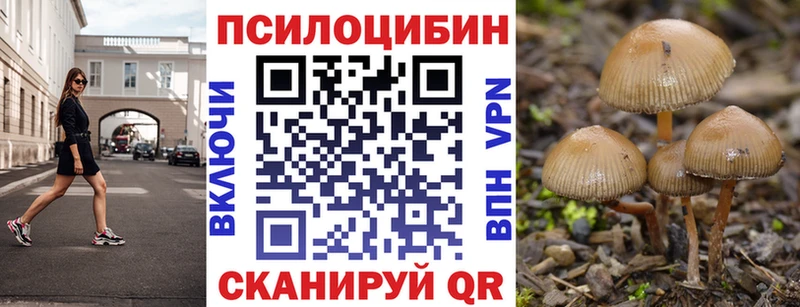 хочу   Суджа  Галлюциногенные грибы Psilocybe 